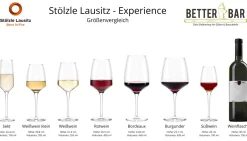 Bordeaux Rotweinglas | Experience - Stölzle Lausitz | 645 ml (6 Stk)