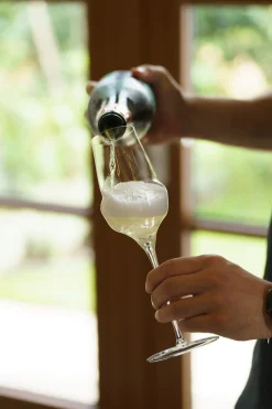 Champagnerglas | Cocoon - Stölzle Lausitz | 340 ml (6 Stk)