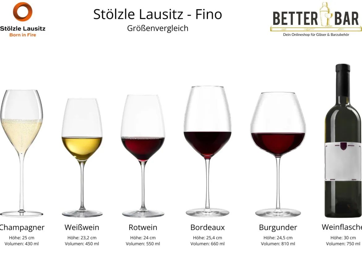 Champagnerglas | Fino - Stölzle Lausitz | 425 ml (6 Stk)