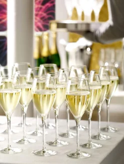 Champagnerglas | Prestige - Stölzle Lausitz | 345 ml (6 Stk)