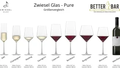 Champagnerglas | Pure - Schott Zwiesel | 300 ml (6 Stk)