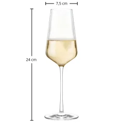 Champagnerglas | Starlight - Stölzle Lausitz | 290 ml (6 Stk)