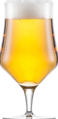 Craft Universal Bierglas 0,3l | Beer Basic - Schott Zwiesel | 450 ml (6 Stk)