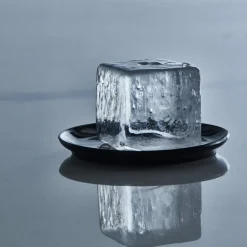 Eiswürfelform Arctic mit Deckel – Lurch | 20 x 4 cm
