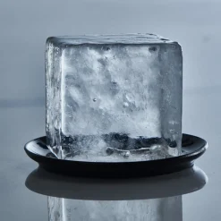 Eiswürfelform – Lurch | 8 x 5 cm
