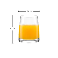 Saftglas | Experience - Stölzle Lausitz | 255 ml (6 Stk)