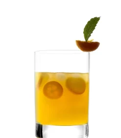 Saftglas | New York Bar - Stölzle Lausitz | 290 ml (6 Stk)