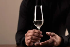 Sektglas "Asti" | Fine - Schott Zwiesel | 250 ml (6 Stk)