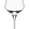Weißweinglas | Cocoon - Stölzle Lausitz | 480 ml (6 Stk)