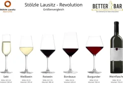 Weißweinglas | Revolution - Stölzle Lausitz | 365 ml (6 Stk)